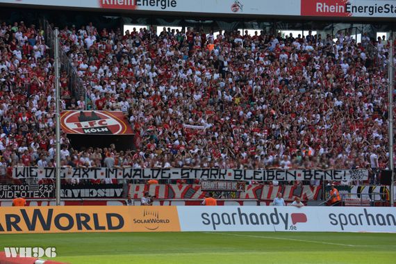 1. FC Köln vs SV Sandhausen (2-0) (10)