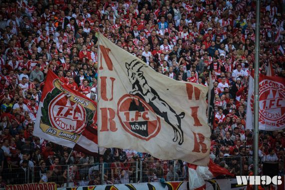 1. FC Köln vs Hamburger SV (0-0) (4)