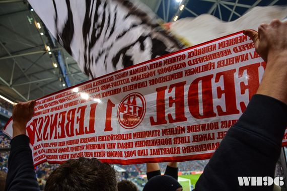FC Schalke 04 vs 1. FC Köln (1-2) (10)