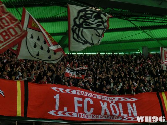VfL Wolfsburg vs 1. FC Köln (2-1) (13)