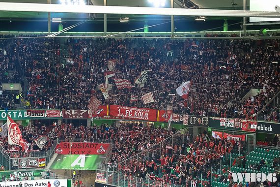 VfL Wolfsburg vs 1. FC Köln (2-1) (14)