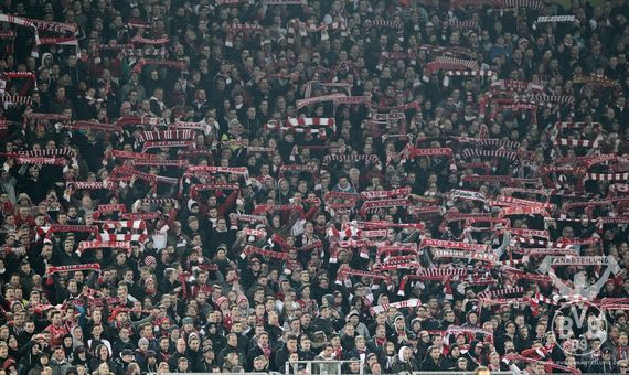 Borussia Dortmund vs 1. FC Köln (0-0) (4)