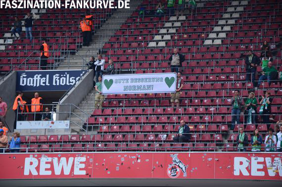 1. FC Köln vs VfL Wolfsburg (2-2) (9)