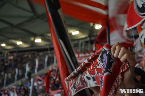 Hannover 96 vs 1. FC Köln (1-0) (14)