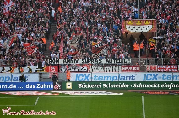 1. FC Köln vs TSG Hoffenheim (0-0) (8)