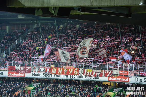 Werder Bremen vs 1. FC Köln (1-1) (2)
