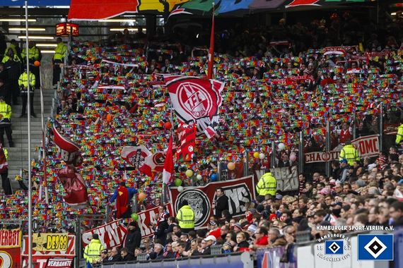 Hamburger SV vs 1. FC Köln (1-1) (15)