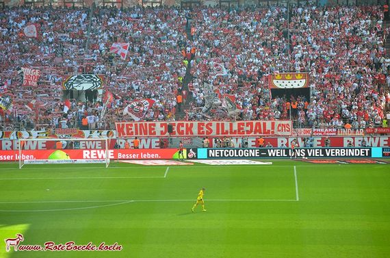 1. FC Köln vs Hamburger SV (2-1) (7)