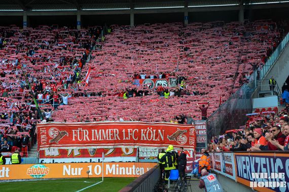 1. FSV Mainz 05 vs 1. FC Köln (2-3) (9)