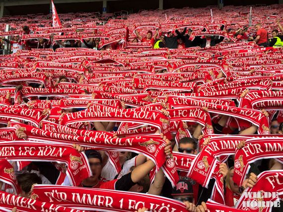 1. FSV Mainz 05 vs 1. FC Köln (2-3) (12)