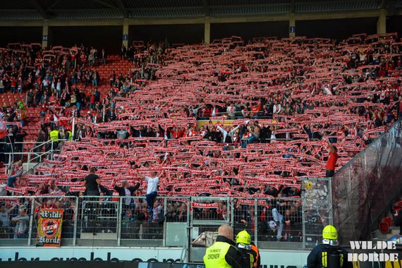 1. FSV Mainz 05 vs 1. FC Köln (2-3) (32)