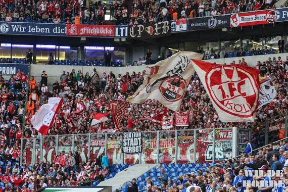 FC Schalke 04 vs 1. FC Köln (0-3) (20)