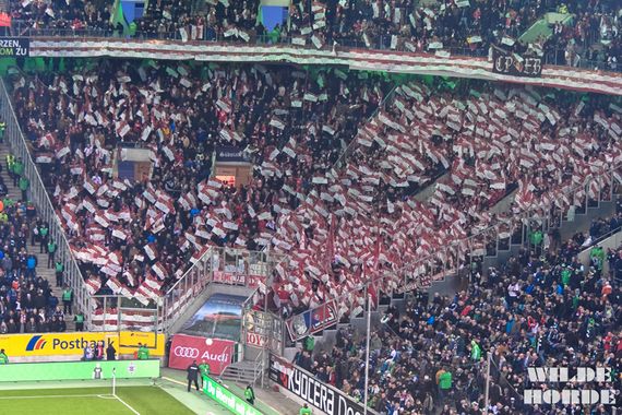 Borussia Mönchengladbach vs 1. FC Köln (1-2) (24)
