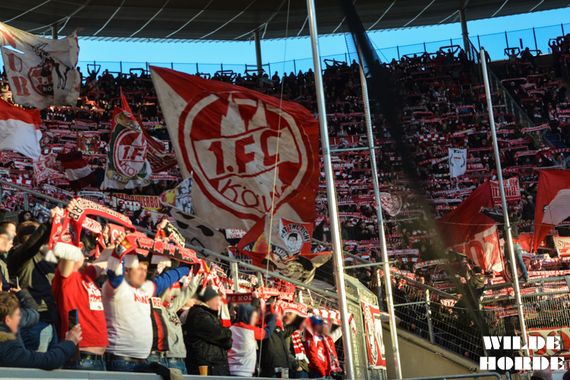 TSG Hoffenheim vs 1. FC Köln (4-0) (1)