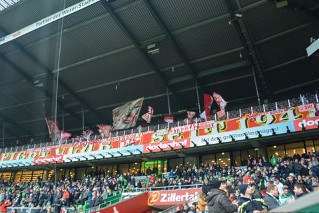 Werder Bremen vs 1. FC Köln (1-1)