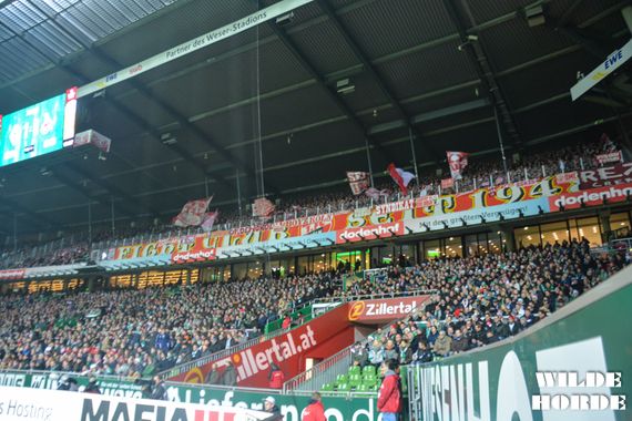 Werder Bremen vs 1. FC Köln (1-1) (1)
