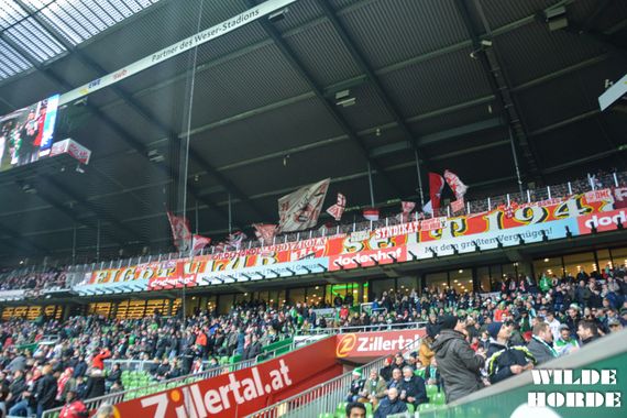 Werder Bremen vs 1. FC Köln (1-1) (6)