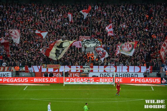 1. FC Köln vs VfL Wolfsburg (1-0) (17)