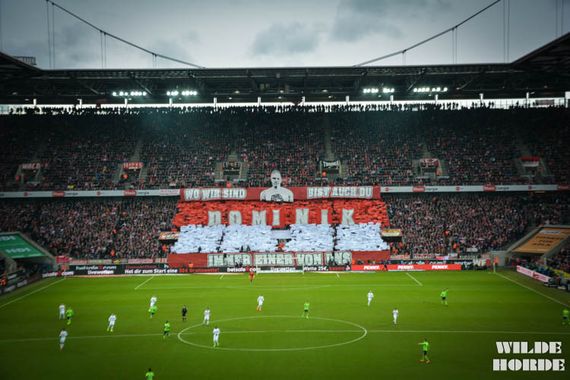 1. FC Köln vs VfL Wolfsburg (1-0) (20)