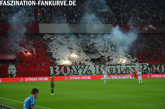 1. FC Köln vs SC Freiburg (3-0) (17)