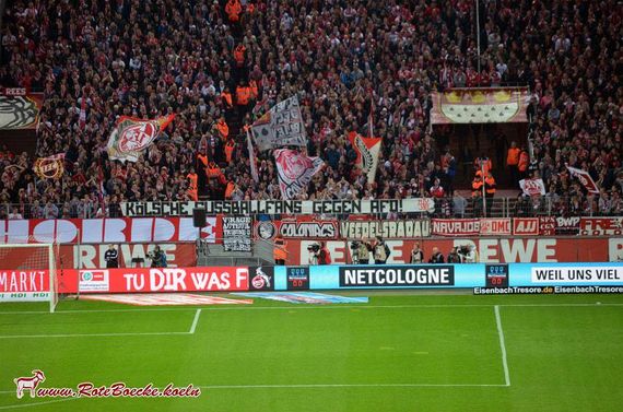 1. FC Köln vs TSG Hoffenheim (1-1) (4)