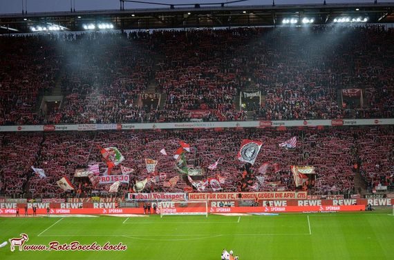 1. FC Köln vs TSG Hoffenheim (1-1) (10)