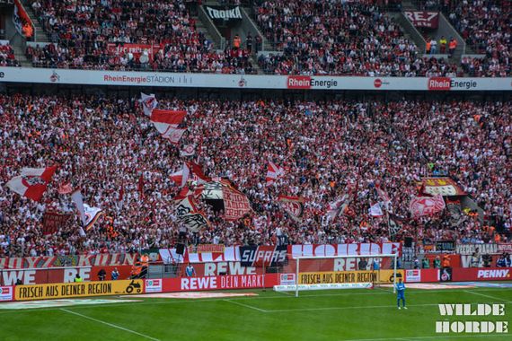 1. FC Köln vs 1. FSV Mainz 05 (2-0) (35)