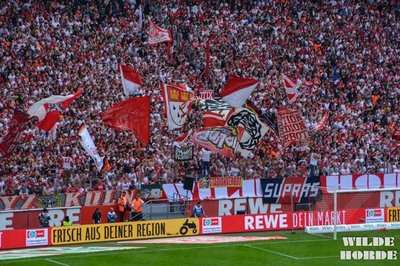1. FC Köln vs 1. FSV Mainz 05 (2-0) (37)