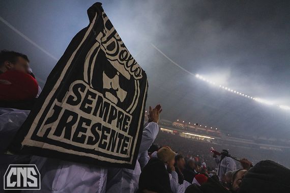 Roter Stern Belgrad vs 1. FC Köln (1-0) (21)