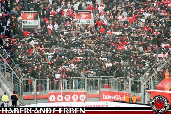 Bayer 04 Leverkusen vs 1. FC Köln (2-1) (9)