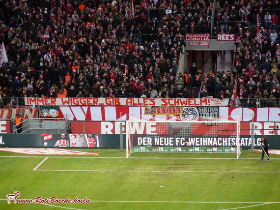 1. FC Köln vs VfL Wolfsburg (1-0) (2)
