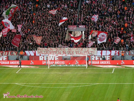 1. FC Köln vs VfL Wolfsburg (1-0) (5)