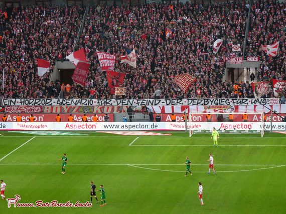 1. FC Köln vs FC Augsburg (1-1) (5)
