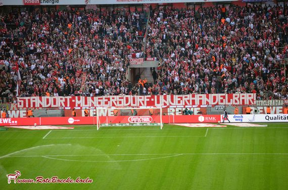 1. FC Köln vs Eintracht Frankfurt (0-1) (3)
