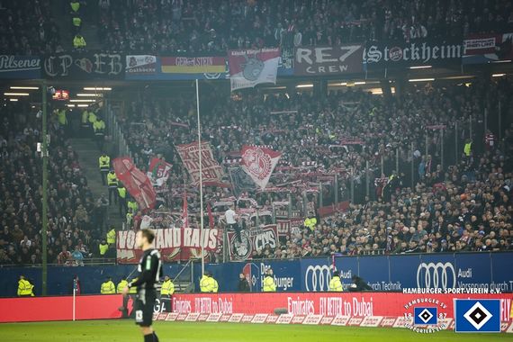 Hamburger SV vs 1. FC Köln (1-0) (1)