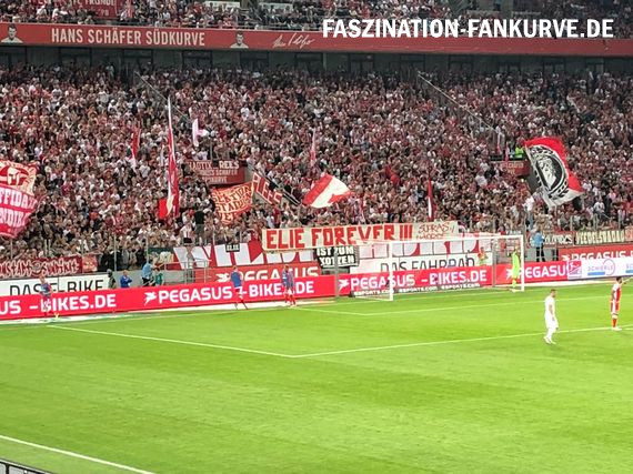 1. FC Köln vs 1. FC Union Berlin (1-1) (4)