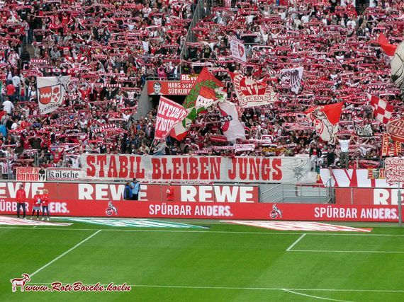 1. FC Köln vs FC Erzgebirge Aue (3-1) (24)