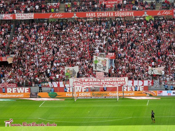 1. FC Köln vs FC Erzgebirge Aue (3-1) (27)