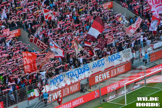 1. FC Köln vs SV Darmstadt 98 (1-2) (19)