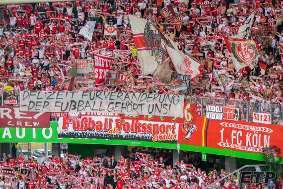 VfL Wolfsburg vs 1. FC Köln (2-1) (14)