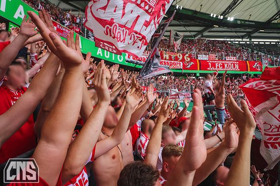 VfL Wolfsburg vs 1. FC Köln (2-1) (35)