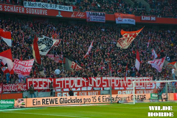 1. FC Köln vs VfL Wolfsburg (3-1) (7)