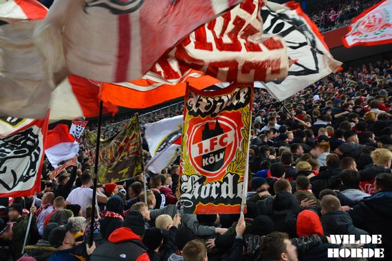 1. FC Köln vs VfL Wolfsburg (3-1) (10)