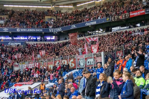 FC Schalke 04 vs 1. FC Köln (1-1) (2)