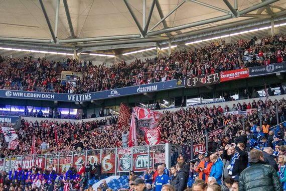FC Schalke 04 vs 1. FC Köln (1-1) (3)