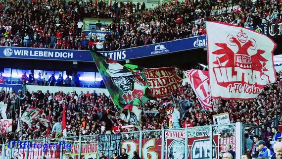 FC Schalke 04 vs 1. FC Köln (1-1) (5)