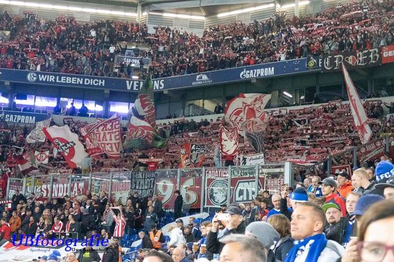 FC Schalke 04 vs 1. FC Köln (1-1) (10)