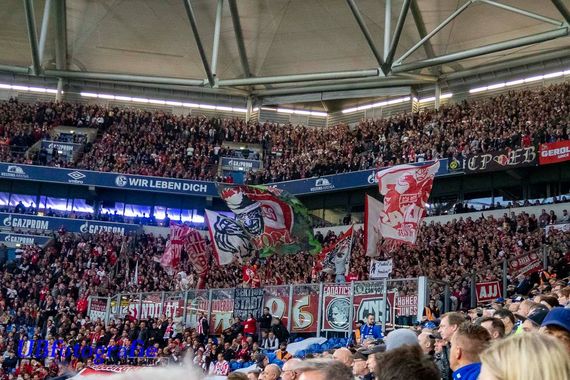 FC Schalke 04 vs 1. FC Köln (1-1) (11)