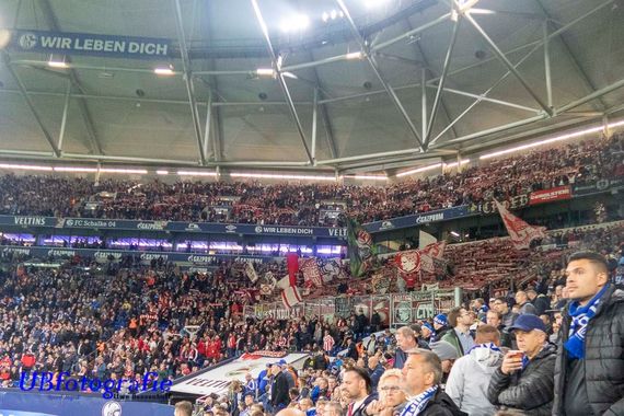 FC Schalke 04 vs 1. FC Köln (1-1) (12)