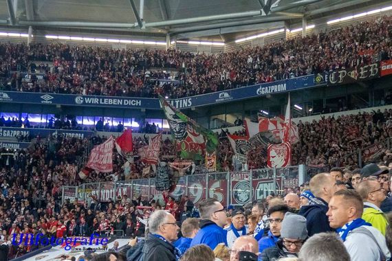 FC Schalke 04 vs 1. FC Köln (1-1) (16)
